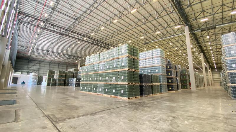 To Let commercial Property for Rent in Parow Industrial Western Cape